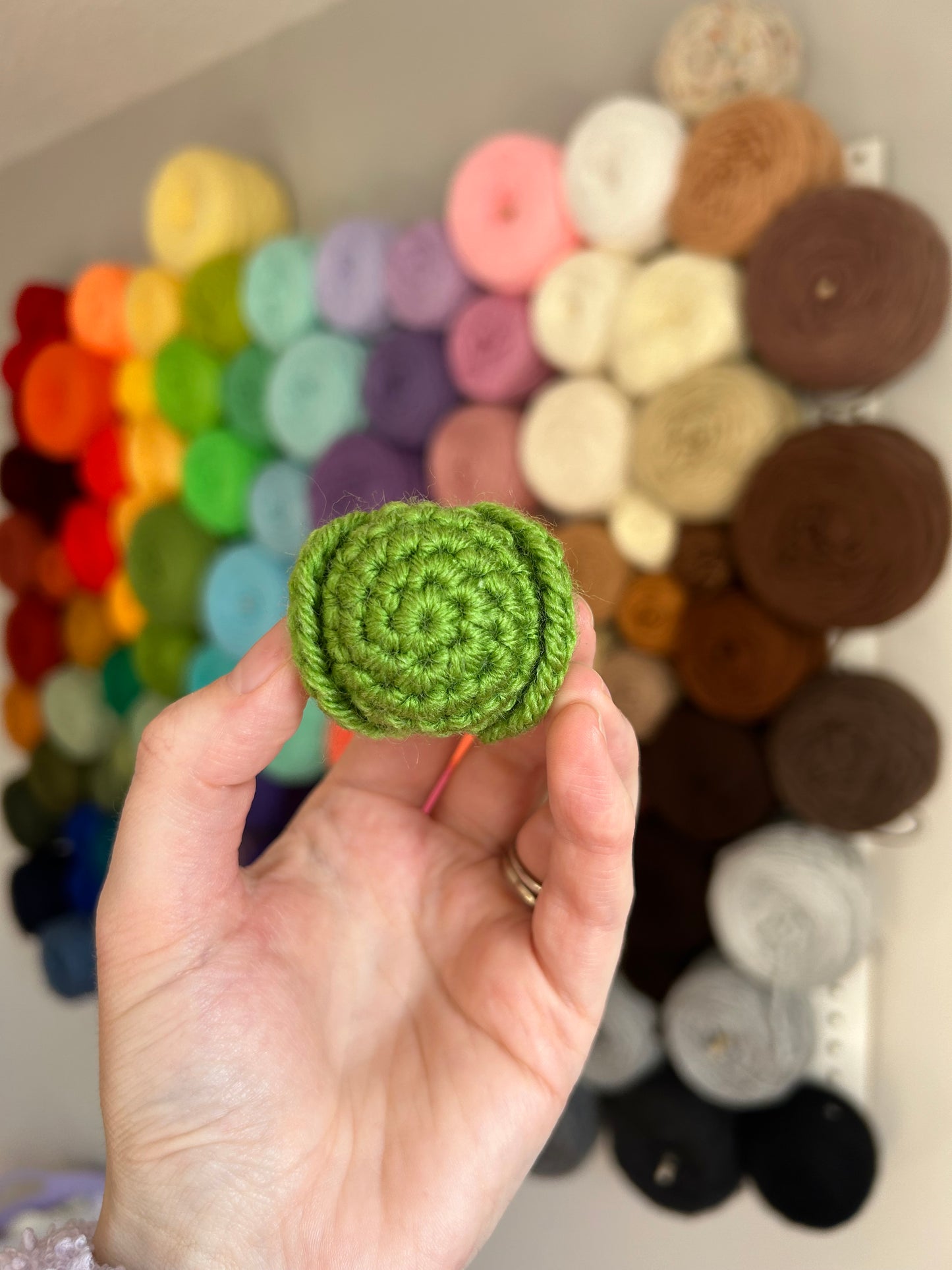 Brussel Sprout