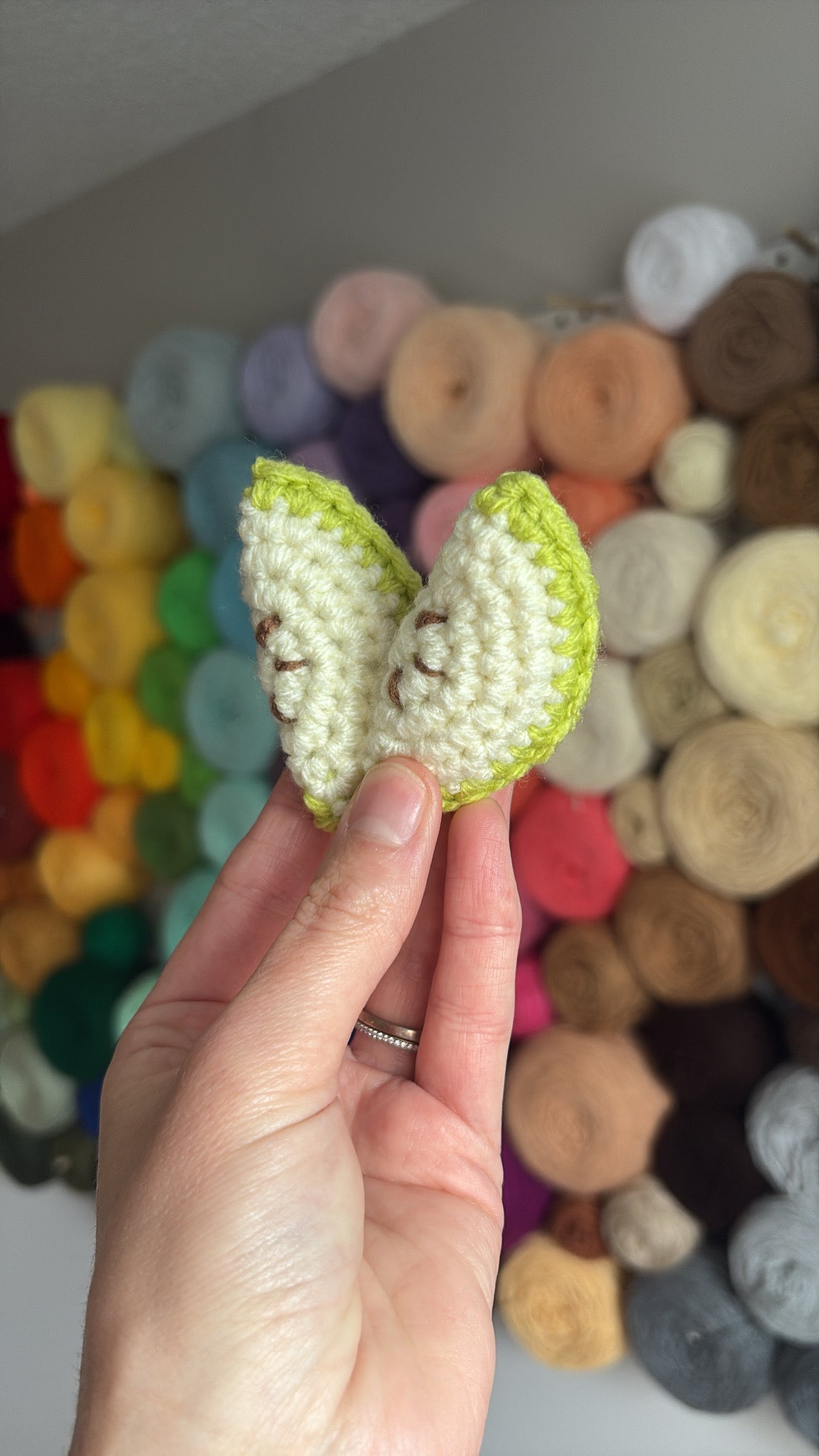 Apple Slices