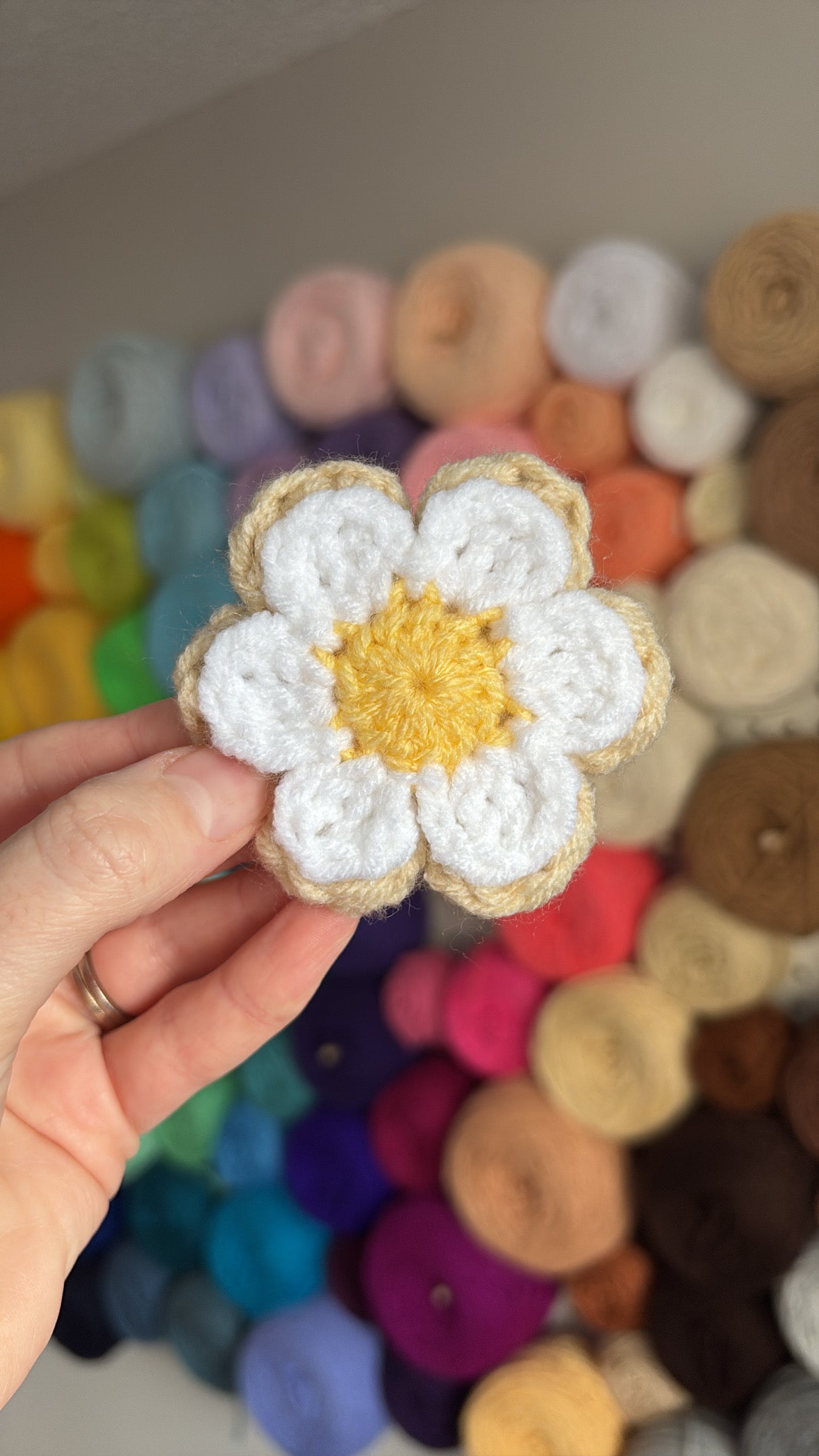 Easter Sugar Cookies