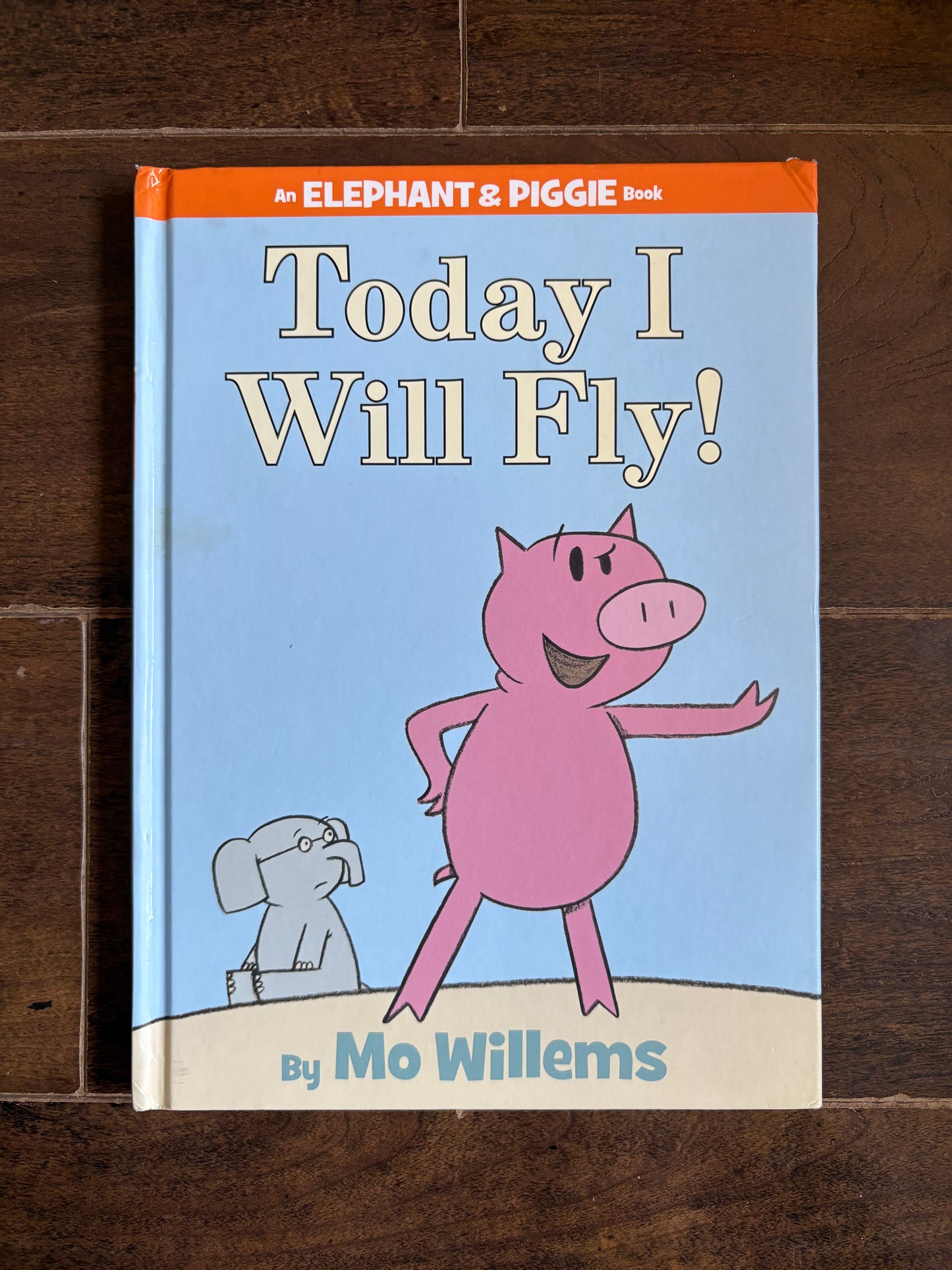 Today I Will Fly