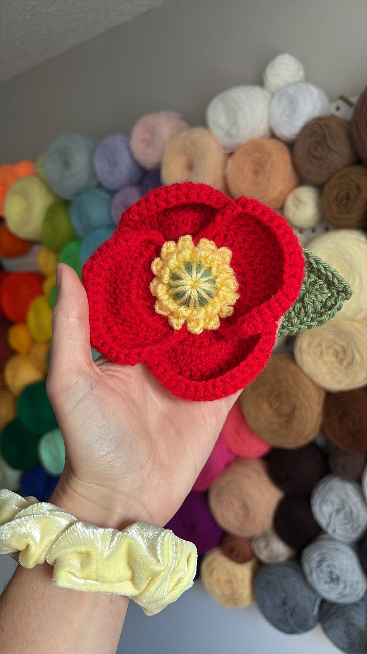 Poppy Flower