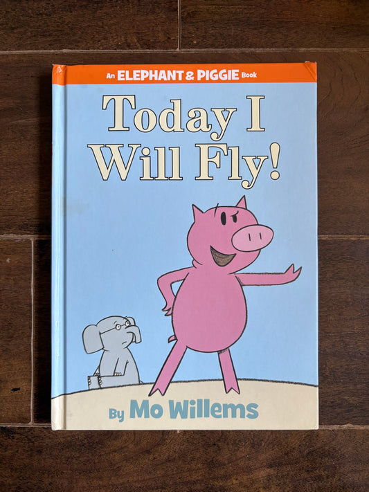 Today I Will Fly